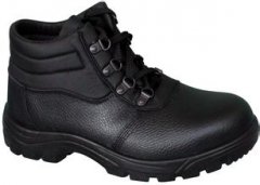 ���oЬ����CE�J�C�|��Ҫ���